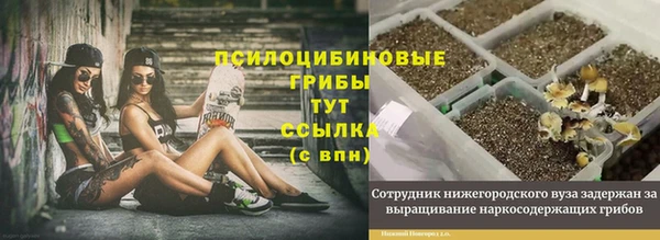 MESCALINE Богородицк